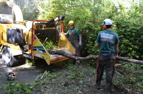 tree services Sioux City